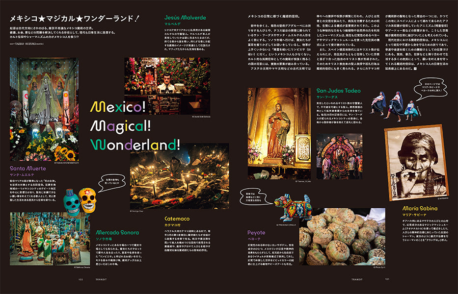 TRANSIT60号 メキシコ マジカルな旅をしよう!