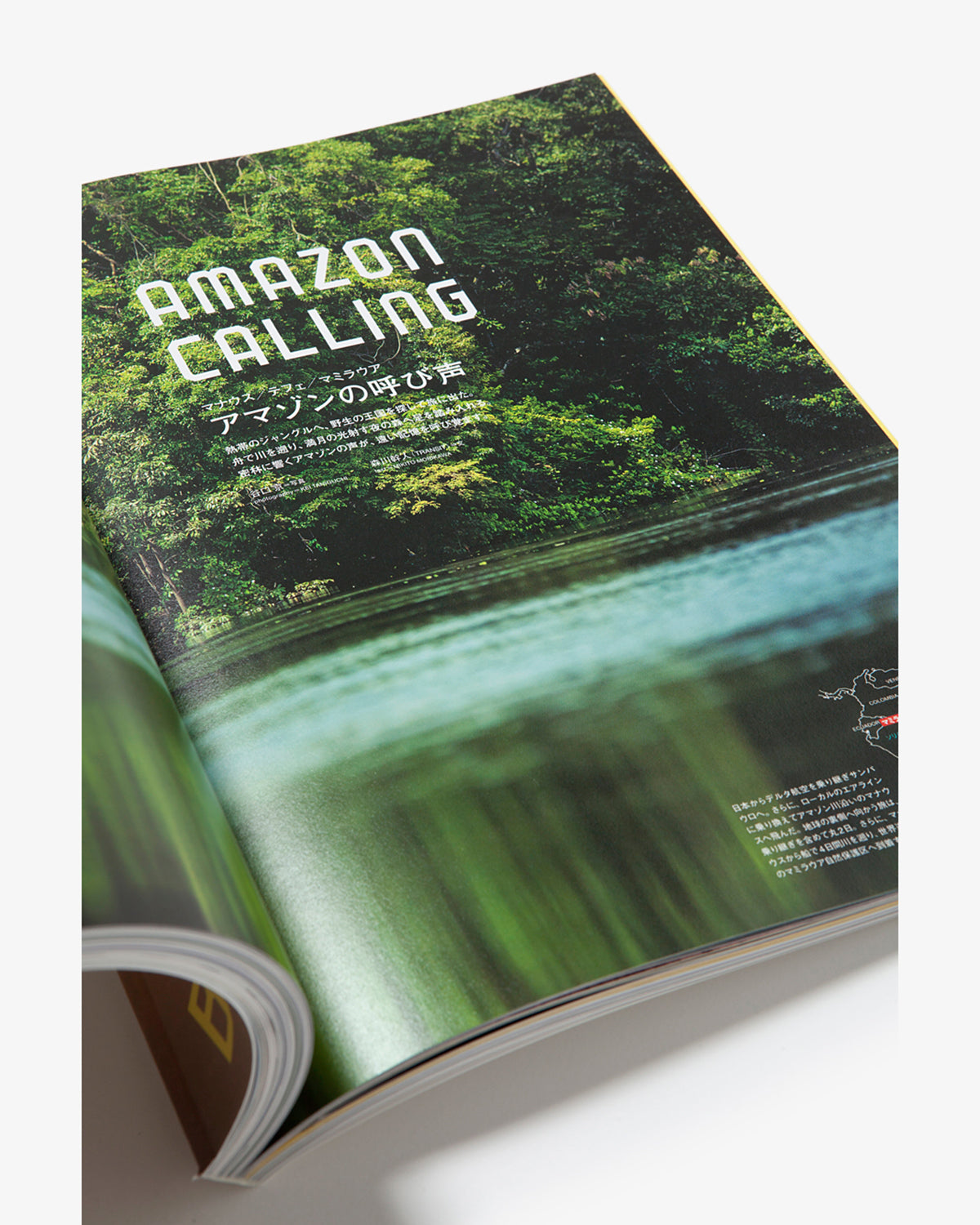 TRANSIT25号 ブラジル(WAKEARI)