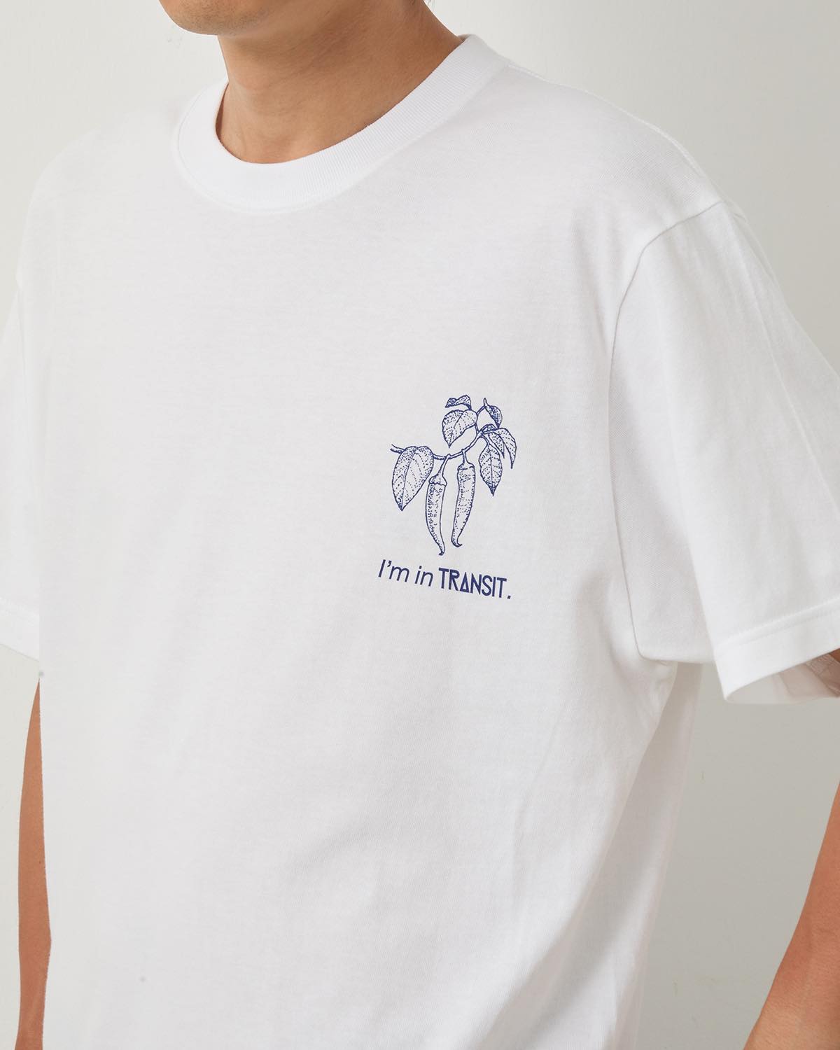 T-shirts(Spice)/ Illustration by Naoki Shoji
