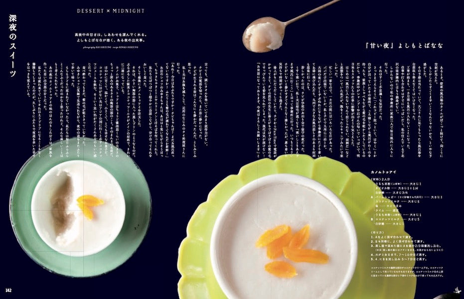 BIRD3号 アイスランド