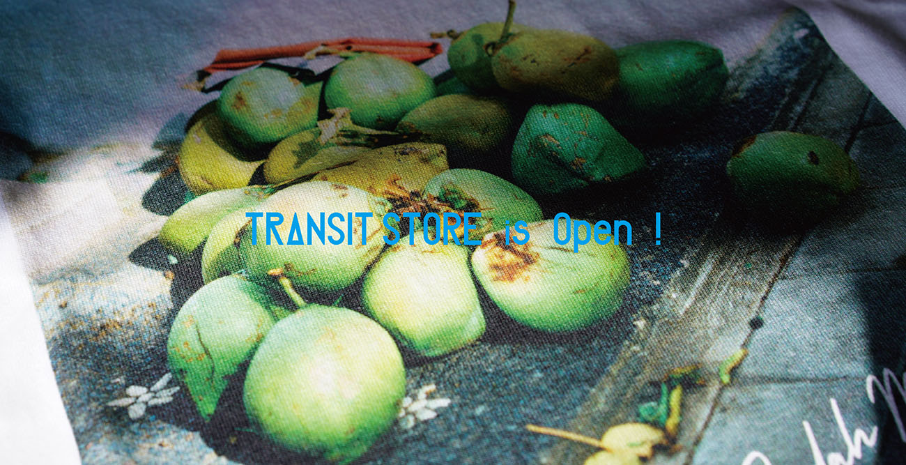 TRANSIT STORE