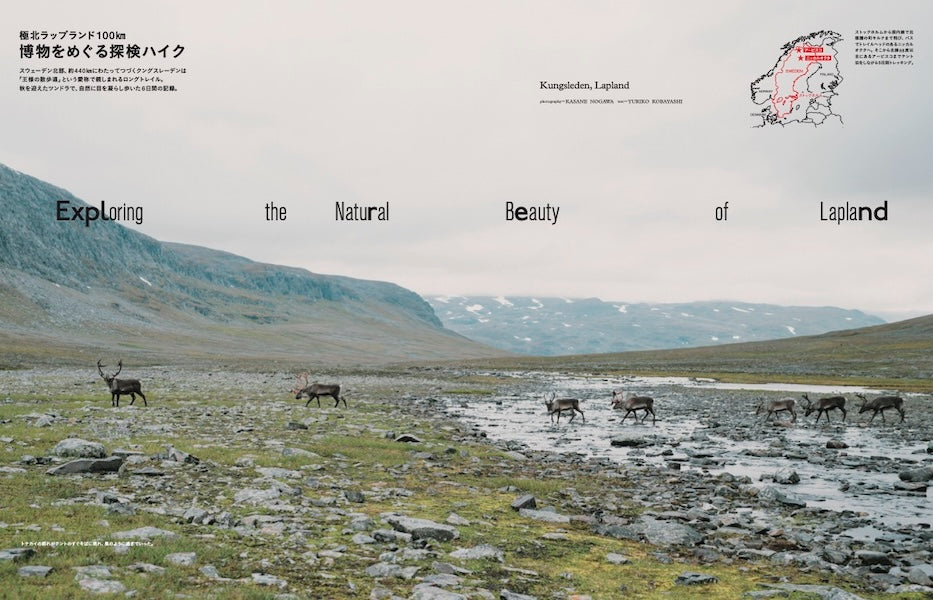 TRANSIT70号 光の国、スウェーデンへ – TRANSIT STORE