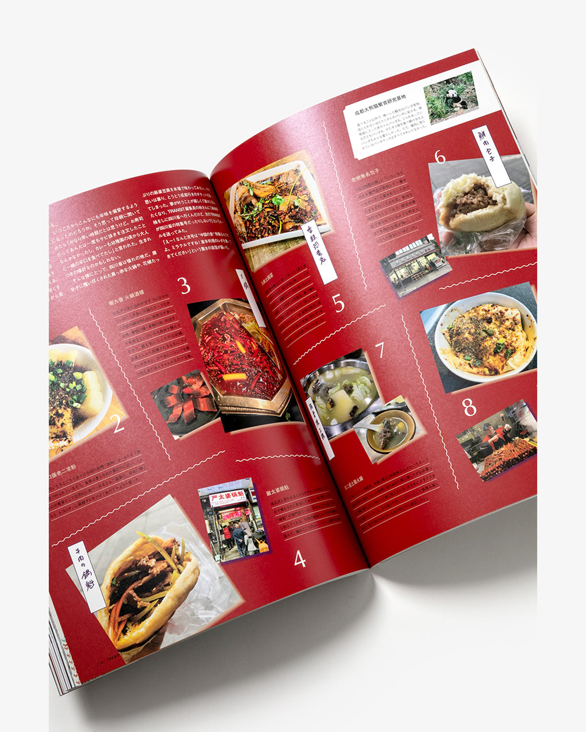 TRANSIT46号　中国四千年の食をめぐる旅（WAKEARI）