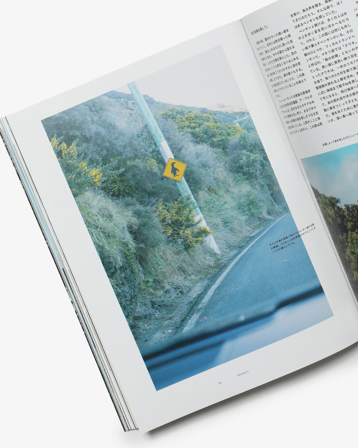 TRANSIT73号  地上の惑星　ニュージーランド