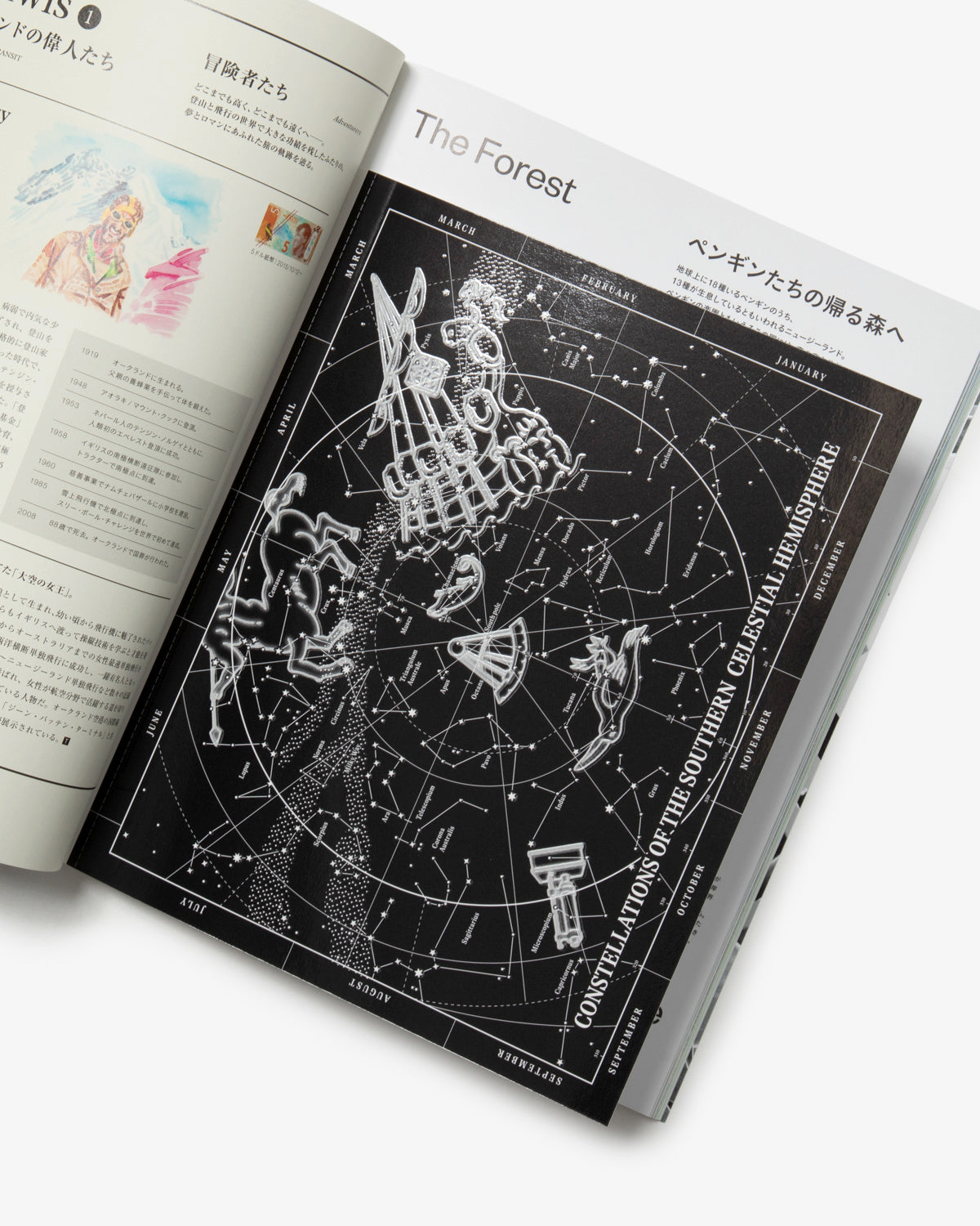 TRANSIT73号 地上の惑星 ニュージーランド – TRANSIT STORE