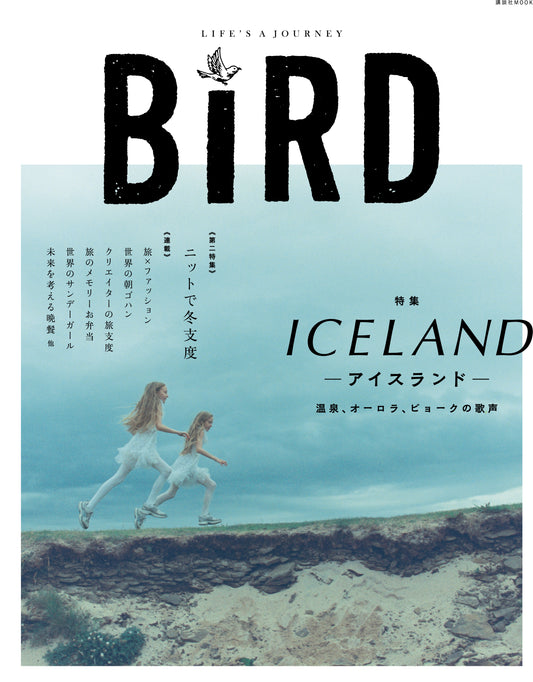 BIRD3号　アイスランド
