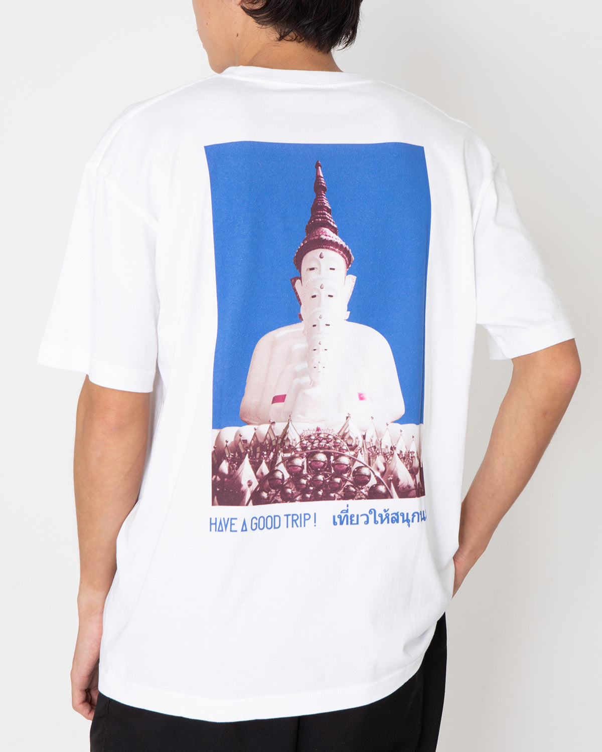 T-shirts（Buddha statue in Thailand）/ photo by 佐藤健寿